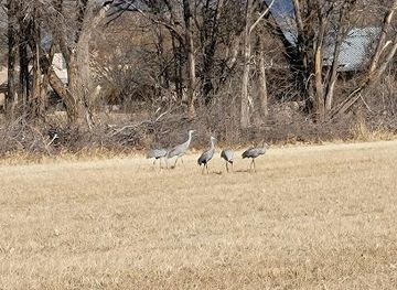 new-mexico/sandia-peak-tramway/attraction/los-poblanos-fields-open-space