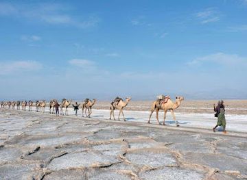 ethiopia/danakil-depression/attraction/ethiopian-high-land-tours