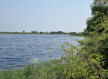 Kumfazana Hide