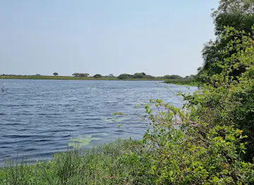 Kumfazana Hide