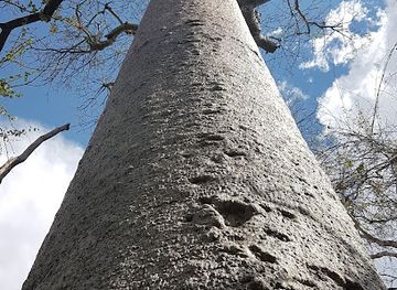 madagascar/isalo-national-park/attraction/accueil-du-parc-zombitse-vohibasia