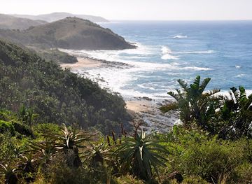 south-africa/wild-coast/attraction/hluleka-nature-reserve