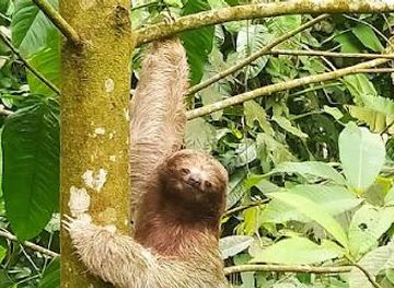 costa-rica/liberia/attraction/spring-paradise-bijagua-your-natural-experience