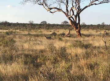 kenya/malindi/attraction/ziggy-safari