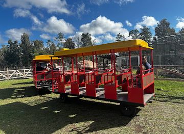 florida/fakahatchee-strand-preserve-state-park/attraction/good-mood-ranch