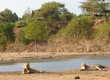 Kavinga Safaris