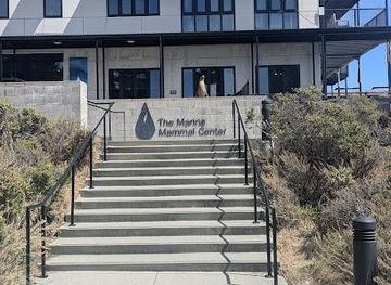 california/san-mateo/attraction/the-marine-mammal-center