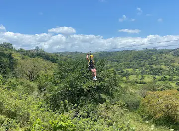 Monkey Jungle Dominican Republic