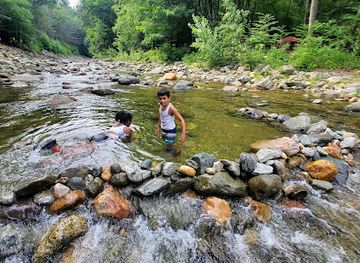 massachusetts/mohawk-trail-state-forest/attraction/todd-mountain-trail