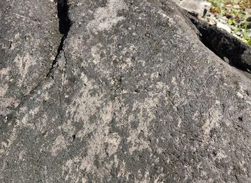 grenada/black-bay-beach/attraction/amerindian-petroglyph