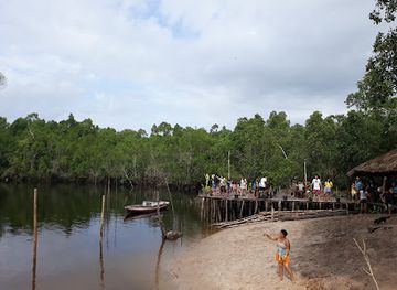 brazil/lencois-maranhenses-national-park/attraction/beira-do-rio-ribeira