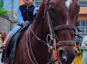 pakistan/ladakh/attraction/horse-riding-skardu-tourist