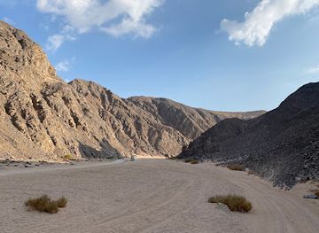 egypt/el-gouna/attraction/gouna-mountaingoats