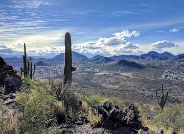 arizona/tucson-mountain-park/attraction/tumamoc-hill-hiking-trail
