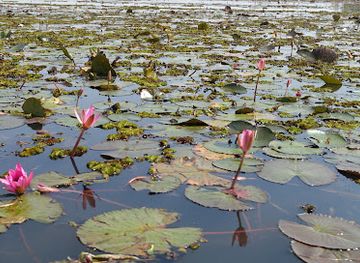 thailand/northeastern-thailand-isan/attraction/nong-han-kumphawapi-lake