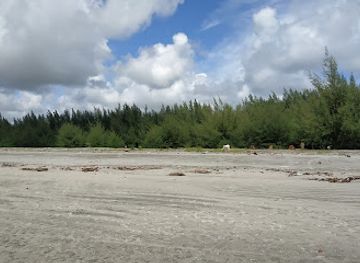 bangladesh/kuakata/attraction/jhau-bon