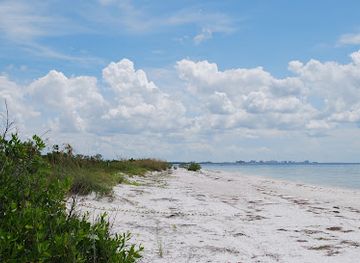 florida/honeymoon-island-state-park/attraction/honeymoon-island