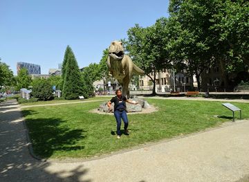 germany/frankfurt/westend/attraction/senckenberg-nature-museum