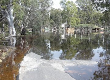 australia/riverland/attraction/tree-of-knowledge
