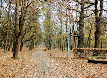 lithuania/kaunas-region/attraction/oak-wood-park