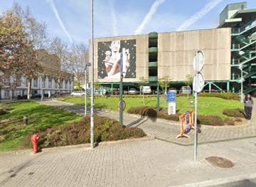 portugal/porto/attraction/singe-a-la-tete-rouge