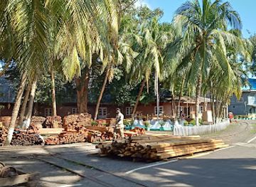 india/andaman-islands/attraction/forest-museum