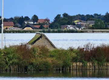 slovenia/prekmurje/attraction/birding-platform-lake-ptuj