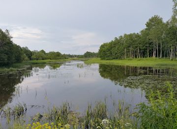 estonia/alutaguse/attraction/eesti-piiritusetoostuse-muuseum