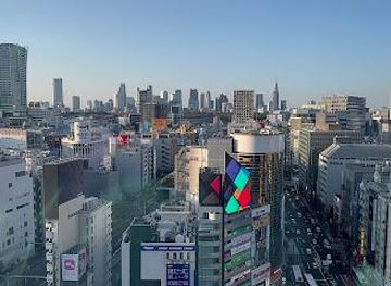japan/tokyo/attraction/shibuya-scramble-crossing