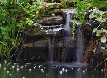 indiana/morgan-monroe-state-forest/attraction/garfield-park-conservatory