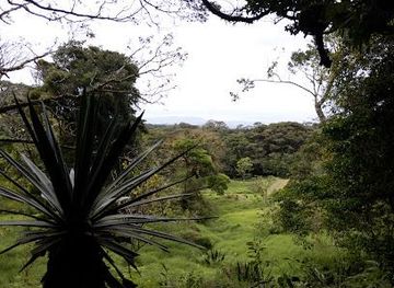 costa-rica/la-fortuna/attraction/reserva-curi-cancha