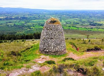 ireland/county-tipperary/attraction/grubb-s-grave