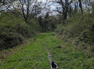 united-kingdom/gloucestershire/attraction/lower-woods-nature-reserve