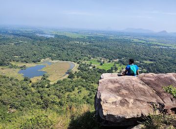 sri-lanka/dry-zone/attraction/danigala-circular-rock