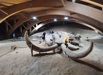 serbia/branicevo/attraction/domvs-scientiarvm-viminacivm