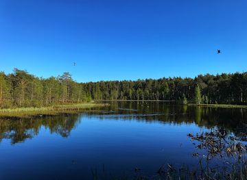 finland/oulu/attraction/lintulammenpuisto