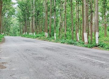 india/assam/attraction/daboka-reserved-selfie-point