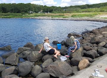 sweden/vastergotland/attraction/svedinos-bil-och-flygmuseum