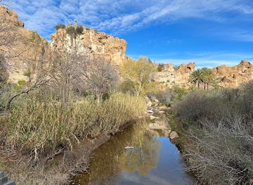 arizona/tonto-national-forest/attraction/boyce-thompson-arboretum