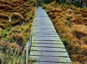 jersey/les-dirouilles/attraction/canal-du-squez