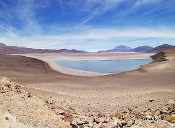 chile/antofagasta-region/attraction/reserva-nacional-alto-loa