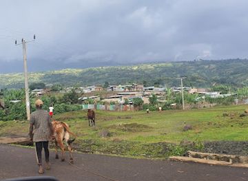 ethiopia/mago-national-park/attraction/metser