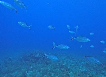 belize/ambergris-caye/attraction/victoria-canyons