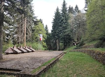 bosnia-and-herzegovina/vrelo-bosne-park/attraction/us-diplomat-monument-at-mount-igman