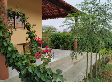 oasis.caatinga