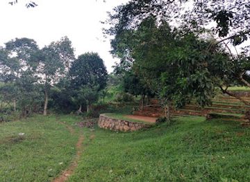 uganda/entebbe/attraction/mpala-palm-forest-park