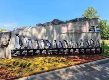 poland/silesia/attraction/silesian-zoological-park