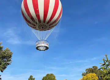 BalloonFly