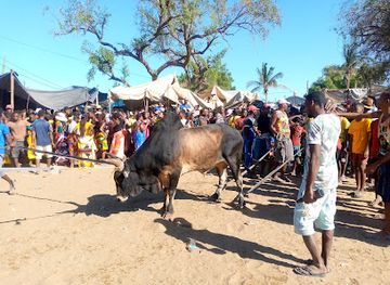 madagascar/toliara/attraction/anketraka