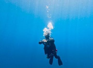 mexico/cabo-san-lucas/attraction/east-cape-explorers